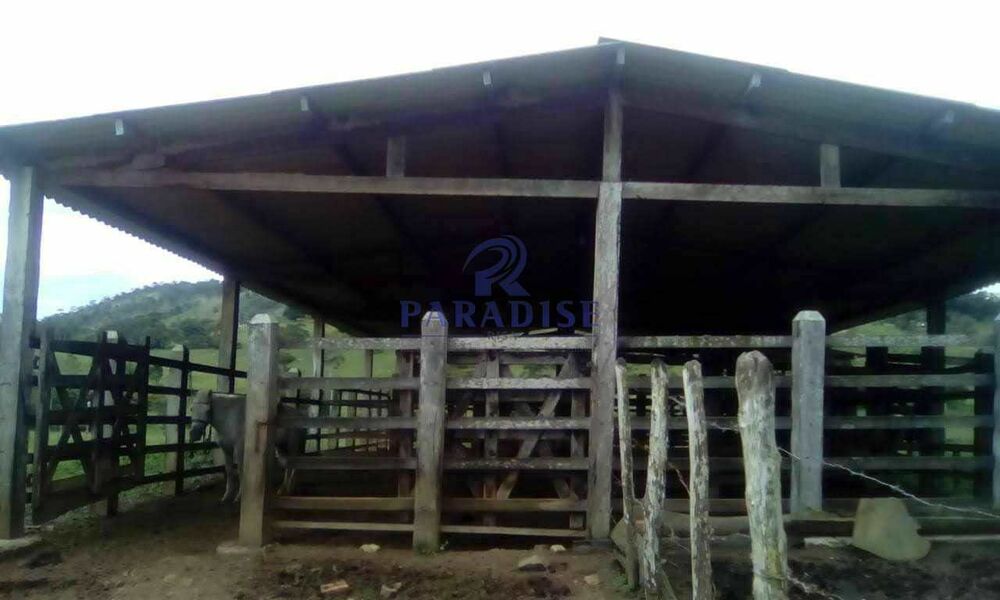 Fazenda, 80 hectares - Foto 2