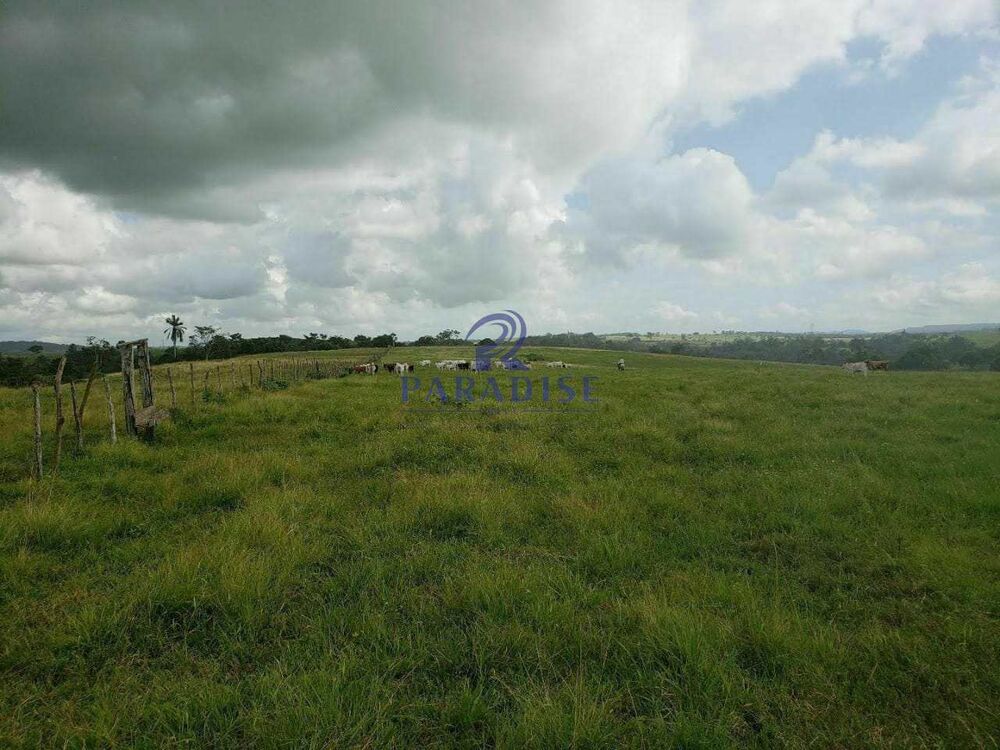 Fazenda, 80 hectares - Foto 12