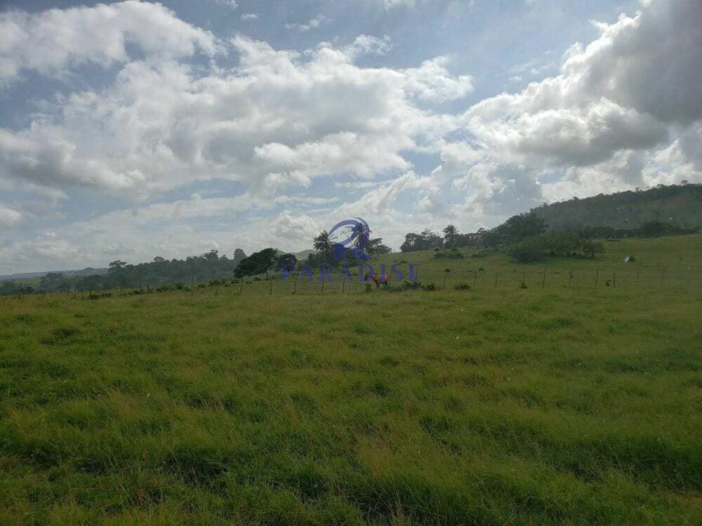 Fazenda, 80 hectares - Foto 15