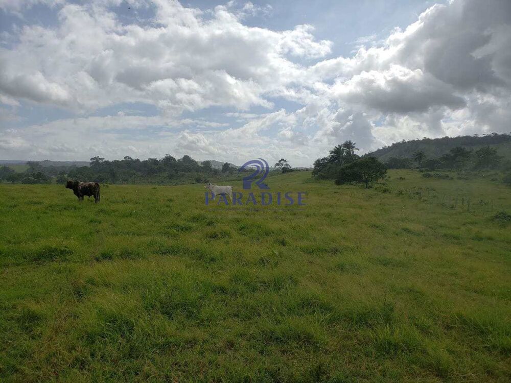 Fazenda, 80 hectares - Foto 3
