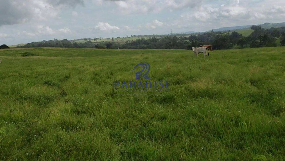 Fazenda, 80 hectares - Foto 10