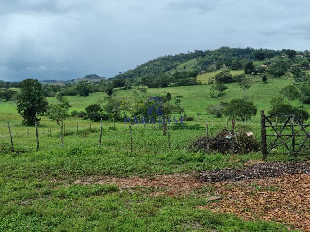 Fazenda, 80 hectares - Foto 1
