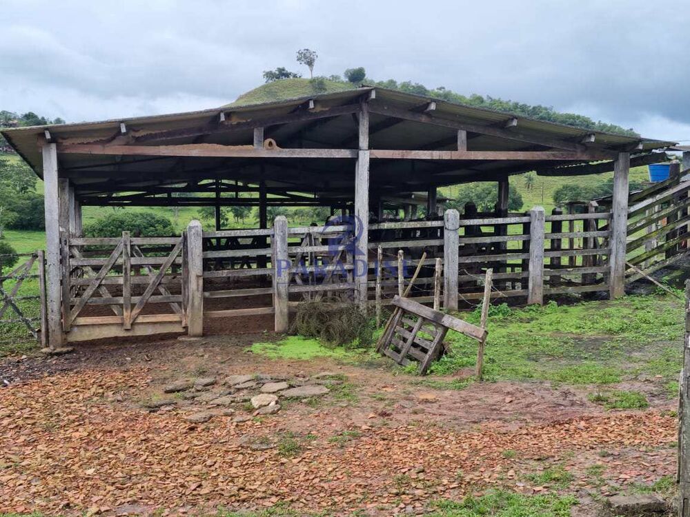 Fazenda, 80 hectares - Foto 14