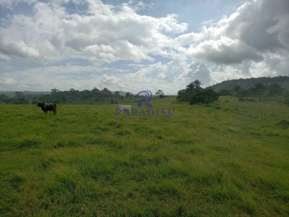 Fazenda, 80 hectares - Foto 13