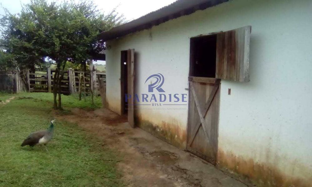 Fazenda, 80 hectares - Foto 7