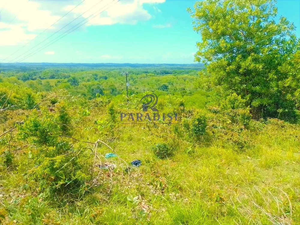 Fazenda à venda, 7800000m² - Foto 8