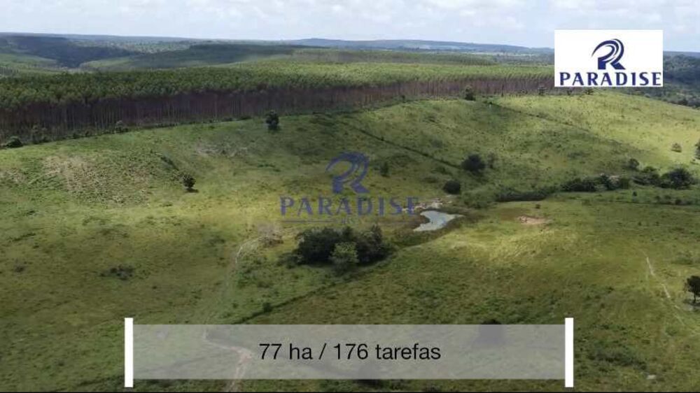 Casa, 4 quartos, 620 m² - Foto 1