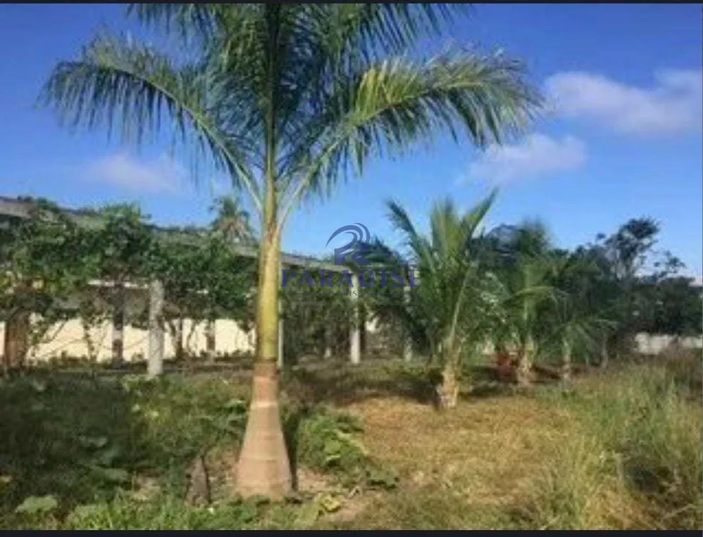 Depósito-Galpão, 20000 m² - Foto 6