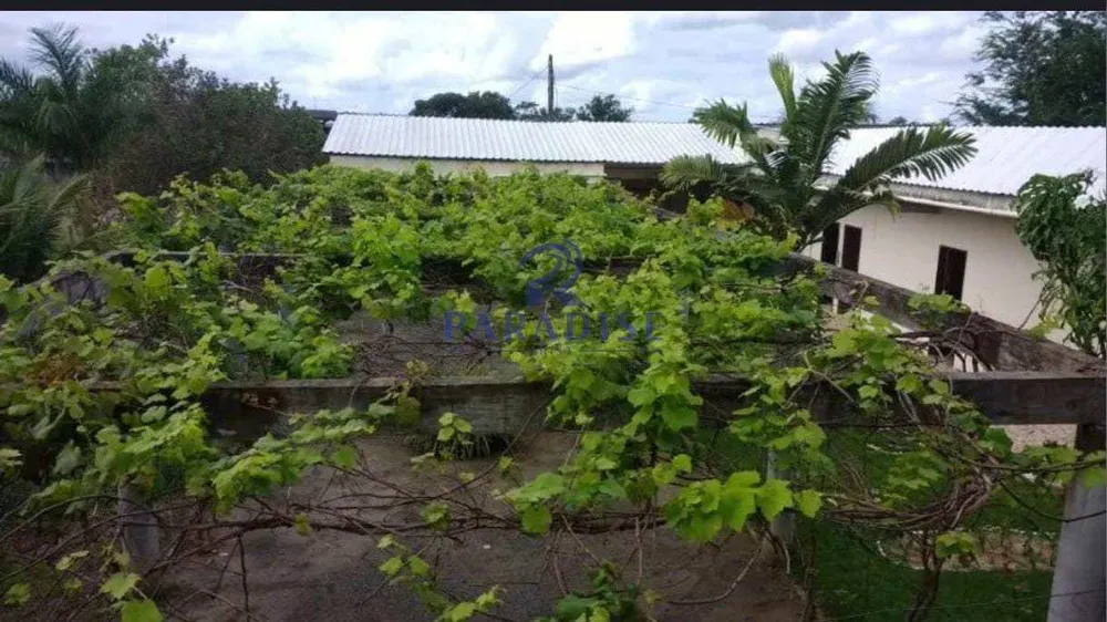 Depósito-Galpão, 20000 m² - Foto 5