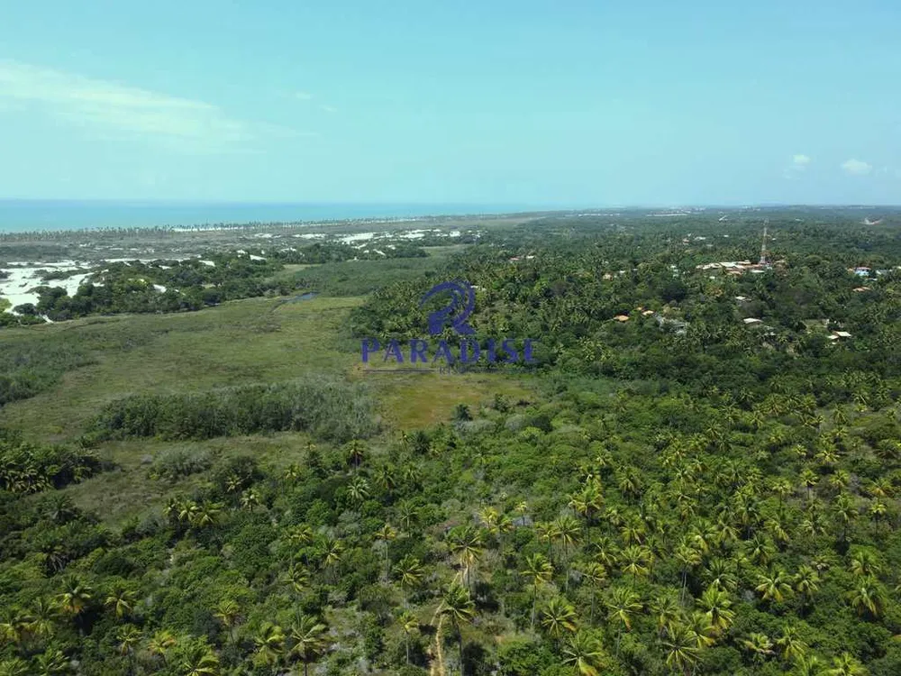 Terreno, 6000 m² - Foto 7