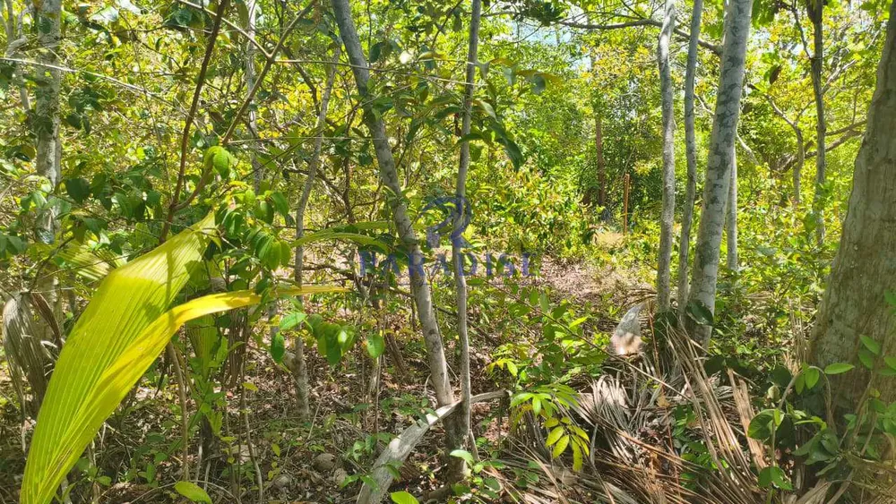 Terreno, 6000 m² - Foto 11