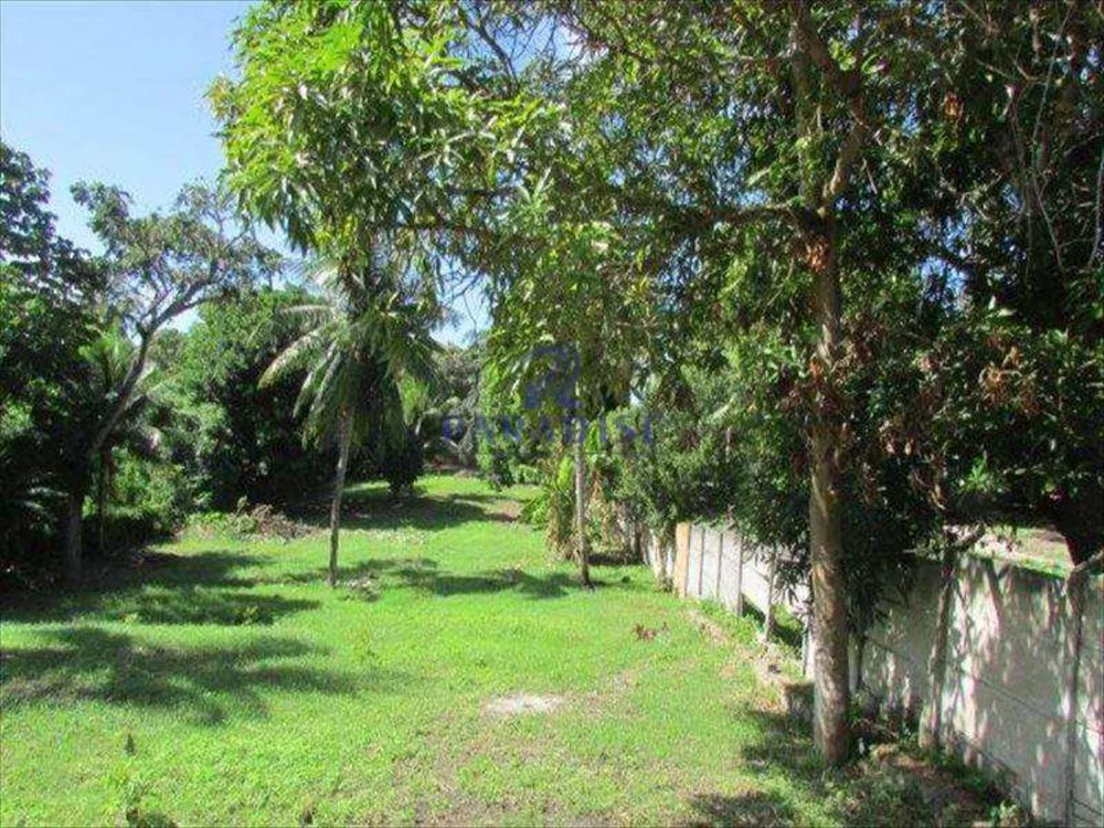 Terreno, 2 hectares - Foto 6