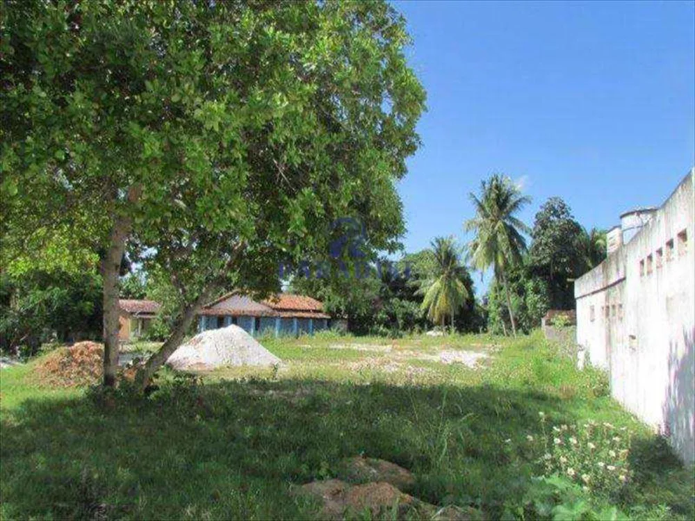 Terreno, 2 hectares - Foto 8
