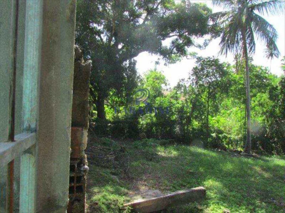 Terreno, 2 hectares - Foto 4