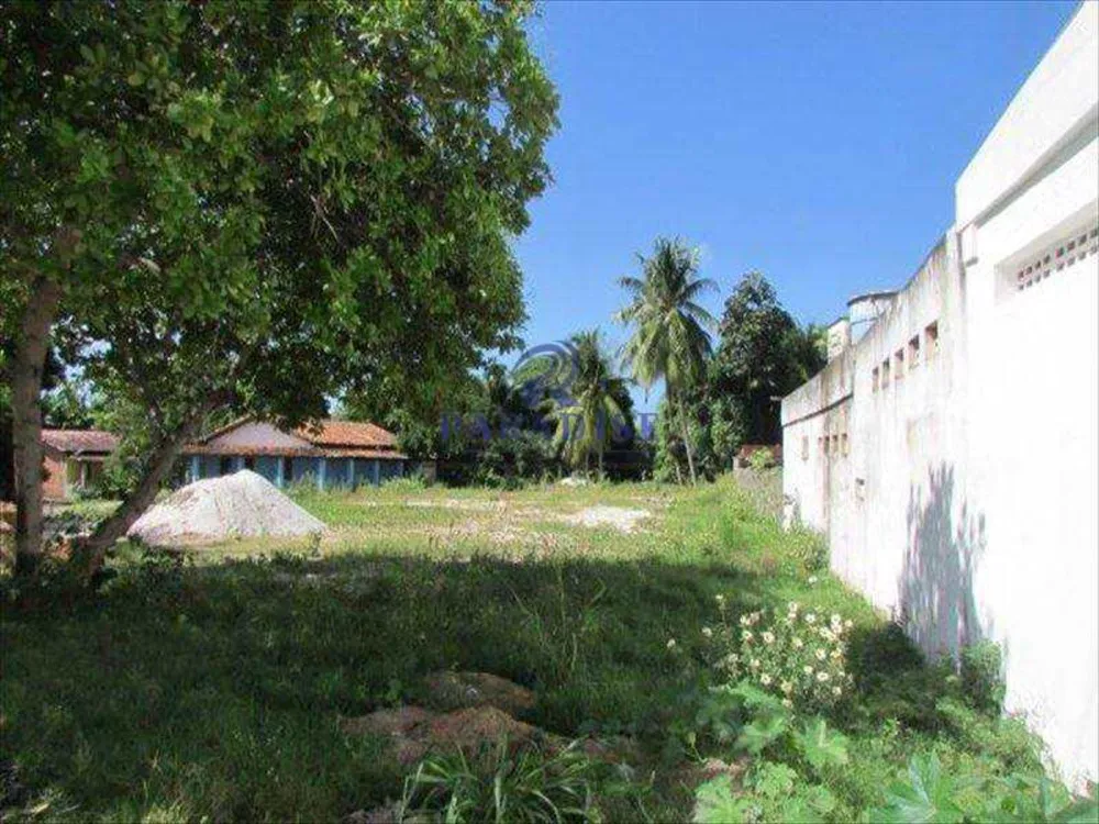 Terreno, 2 hectares - Foto 7