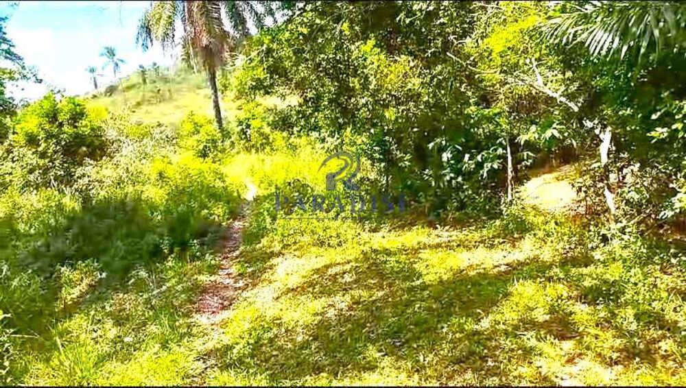 Fazenda, 61 hectares - Foto 1