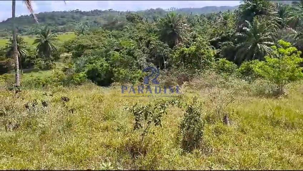 Fazenda, 61 hectares - Foto 2