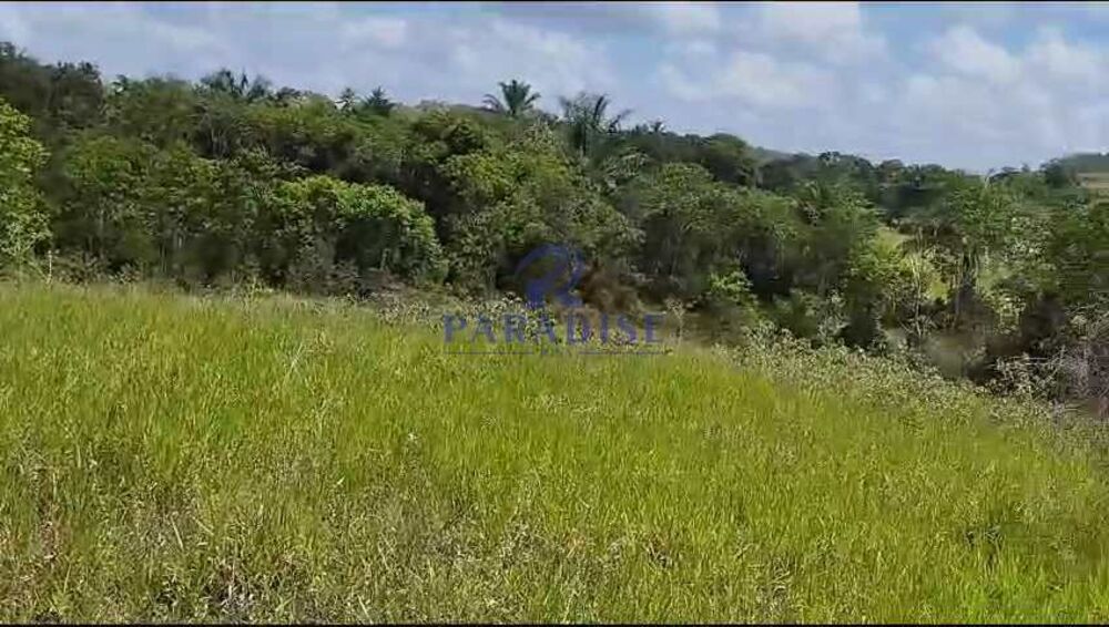 Fazenda, 61 hectares - Foto 3