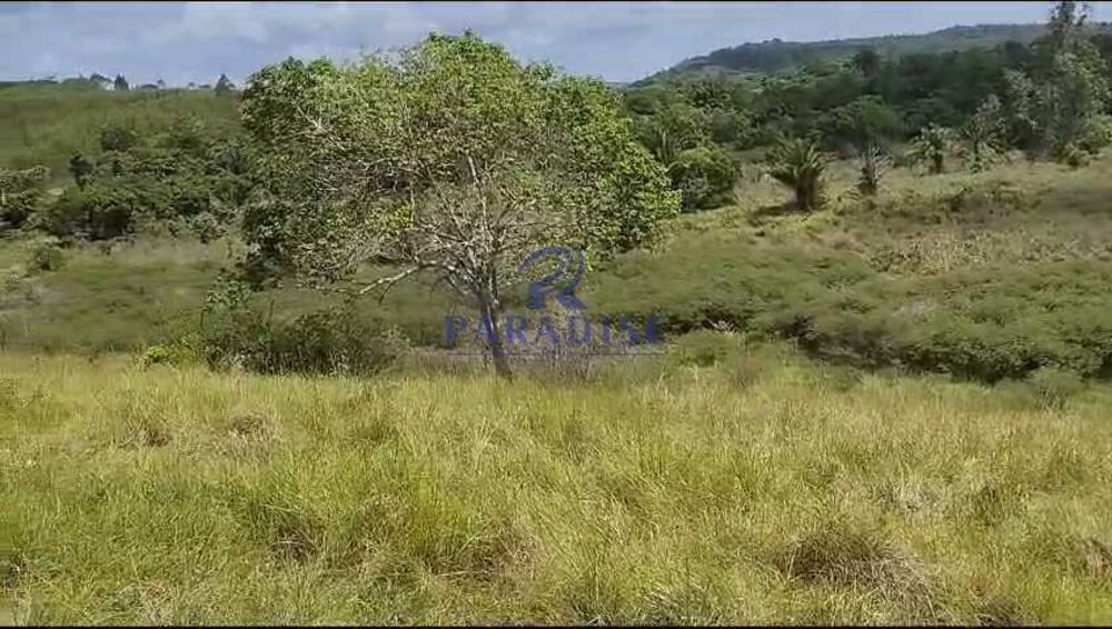 Fazenda, 61 hectares - Foto 4
