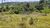 Fazenda, 61 hectares - Foto 2
