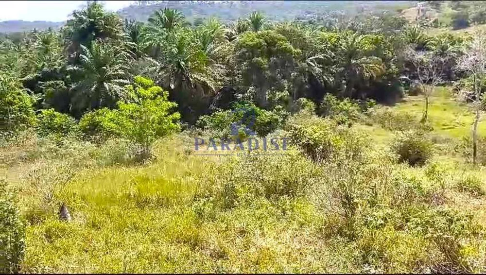 Fazenda, 51 m² - Foto 7
