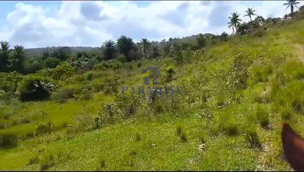 Fazenda, 51 m² - Foto 2