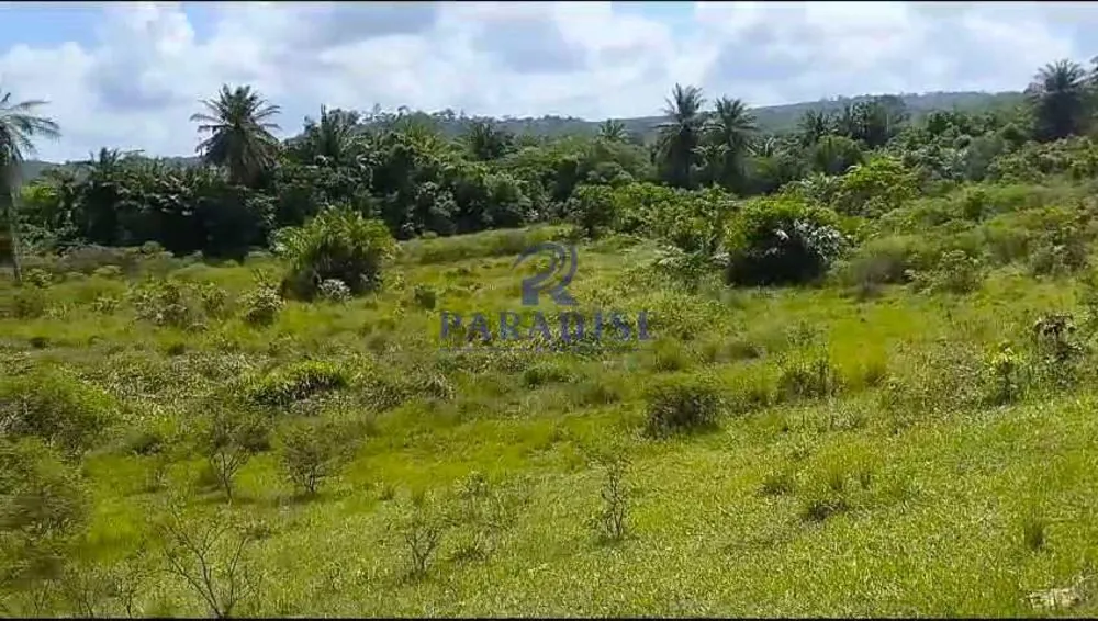Fazenda, 51 m² - Foto 3