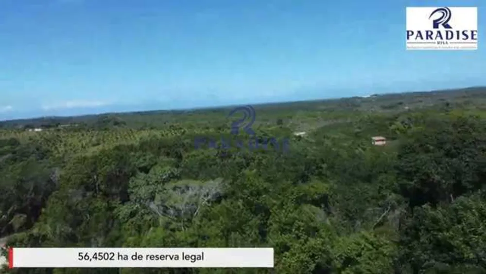 Fazenda, 279 hectares - Foto 7