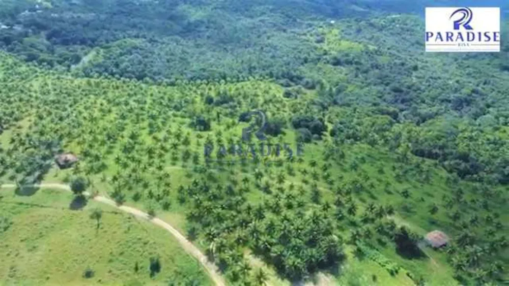 Fazenda, 279 hectares - Foto 8
