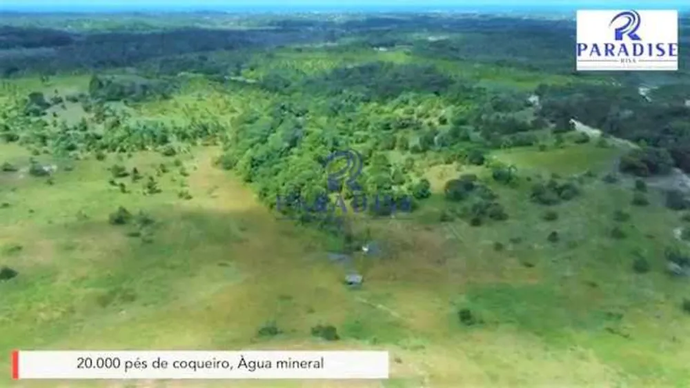 Fazenda, 279 hectares - Foto 3