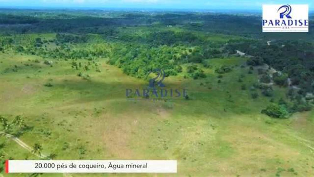 Fazenda, 279 hectares - Foto 1