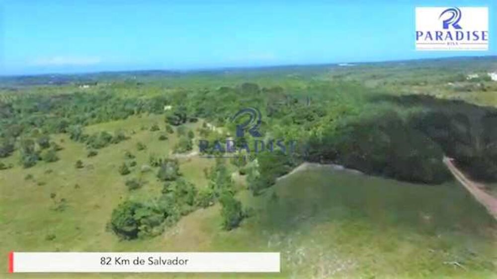 Fazenda, 279 hectares - Foto 3