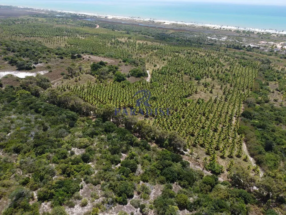 Fazenda, 64 hectares - Foto 1