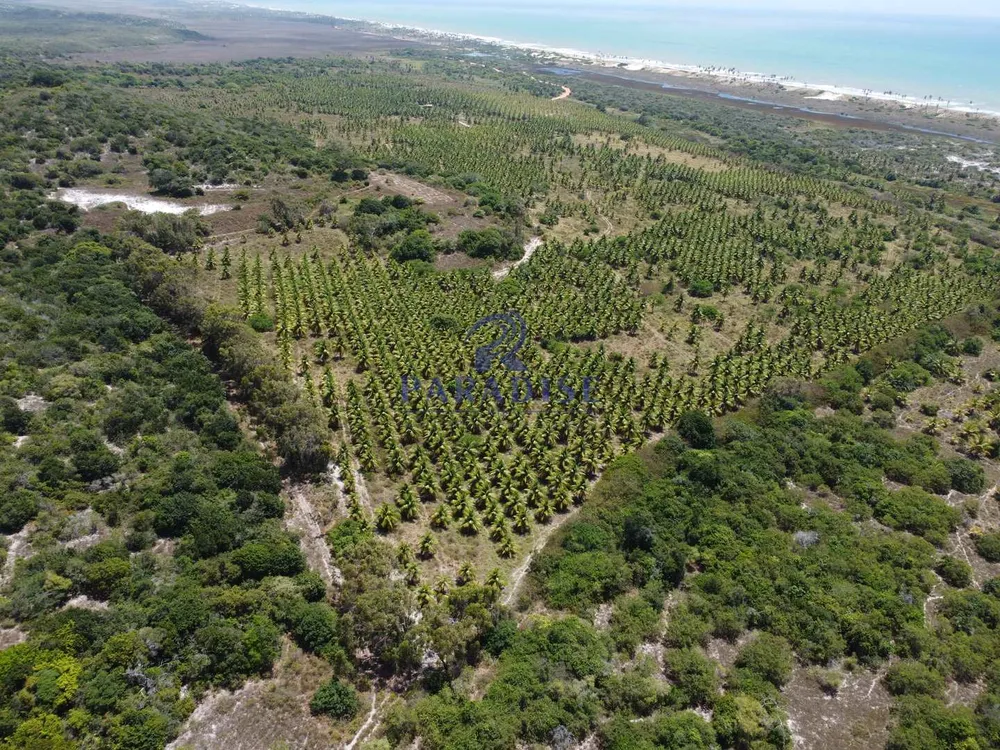 Fazenda, 64 hectares - Foto 6