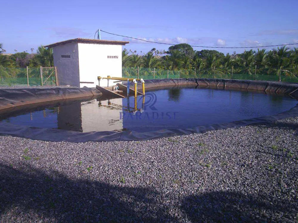 Fazenda, 64 hectares - Foto 4