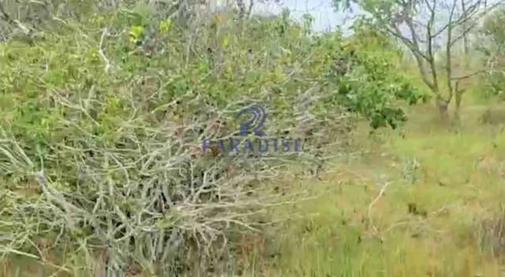 Terreno, 27 hectares - Foto 12