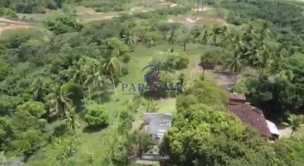 Terreno, 5 hectares - Foto 2