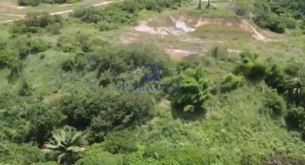 Terreno, 5 hectares - Foto 1