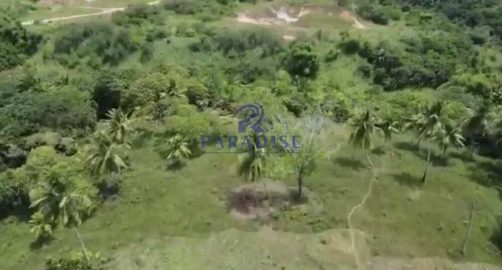 Terreno, 5 hectares - Foto 4