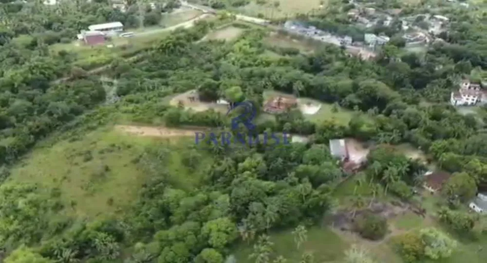 Terreno, 5 hectares - Foto 6