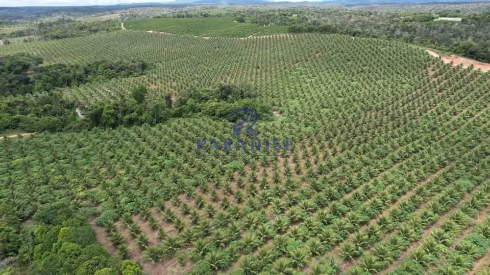 Fazenda, 1855 m² - Foto 3