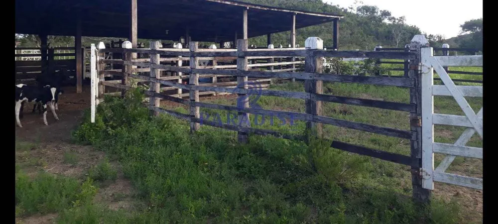 Fazenda, 45 m² - Foto 3