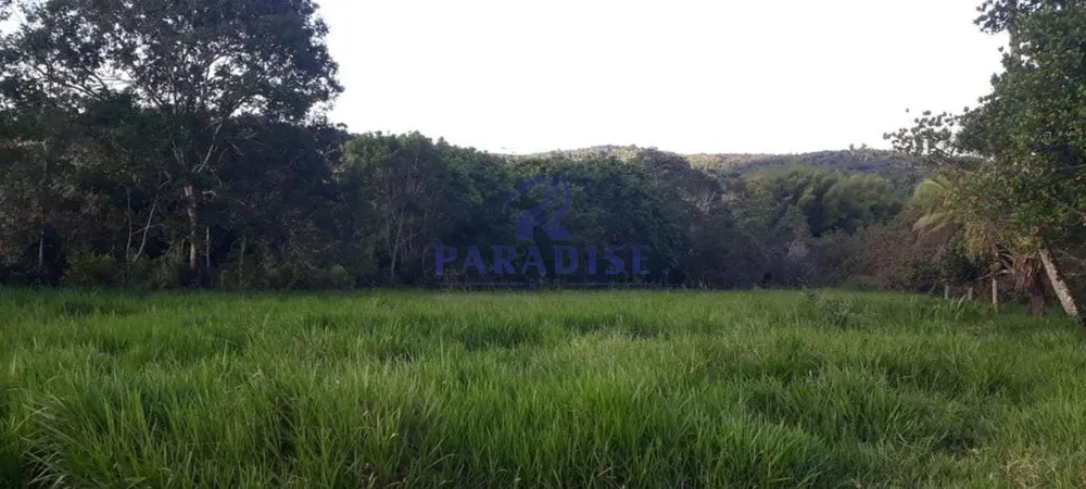 Fazenda, 45 m² - Foto 2