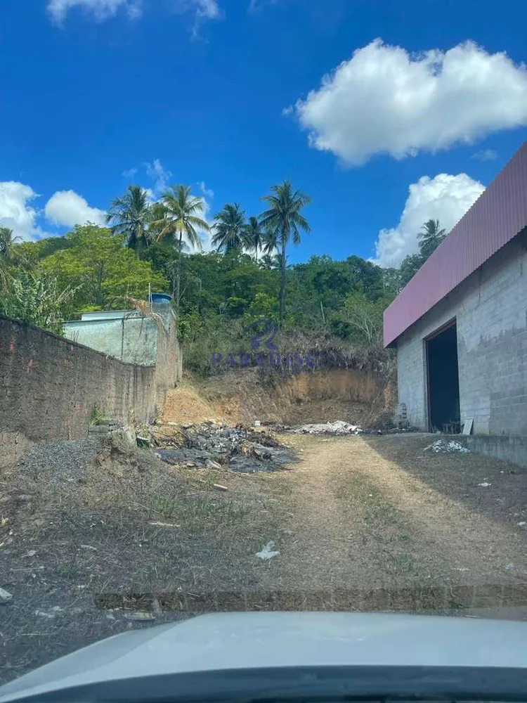 Depósito-Galpão, 20000 m² - Foto 5