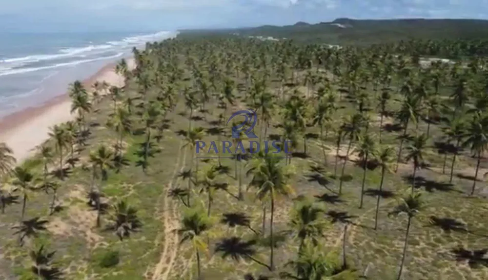 Terreno, 665 hectares - Foto 7