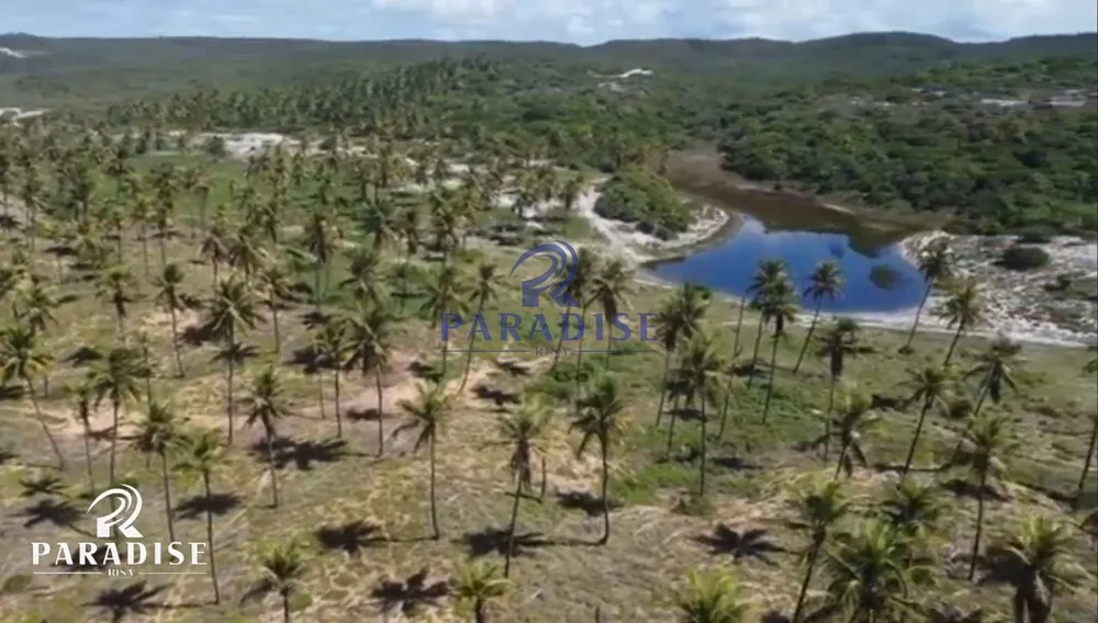 Terreno, 665 hectares - Foto 12