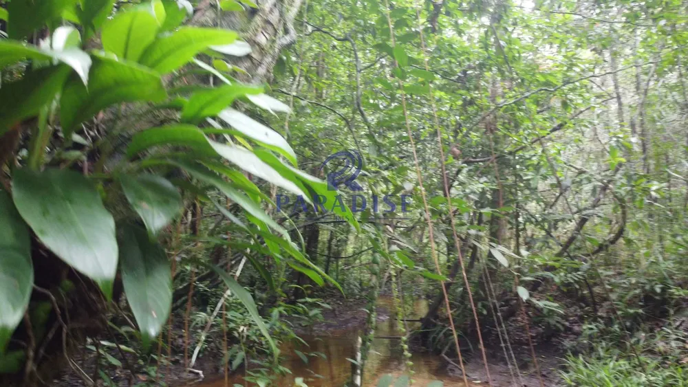 Fazenda, 2 hectares - Foto 38