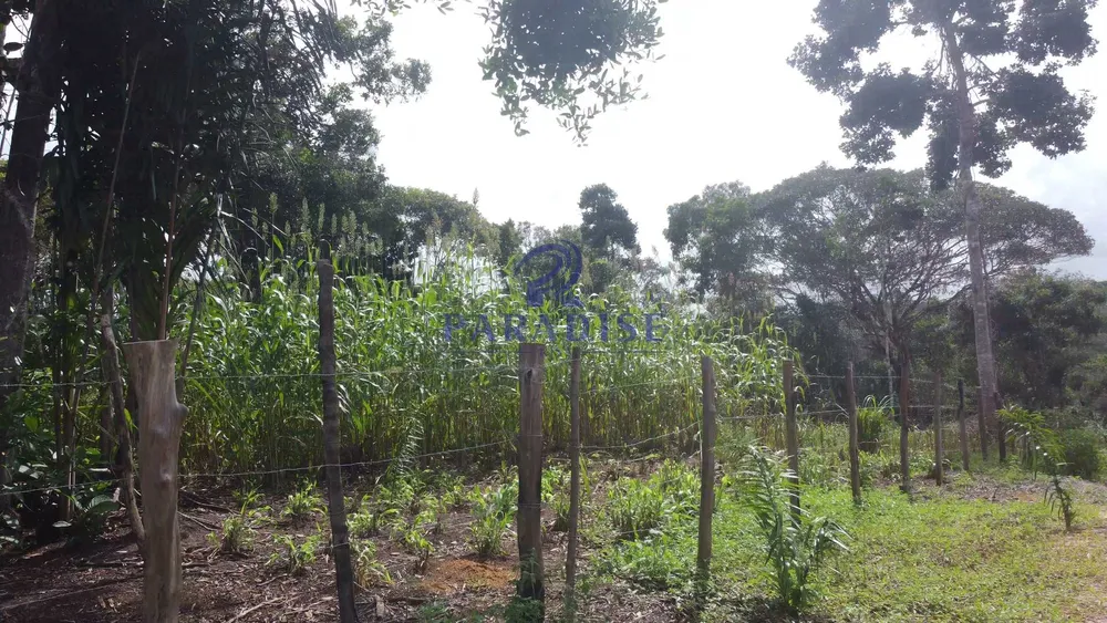 Fazenda, 2 hectares - Foto 22