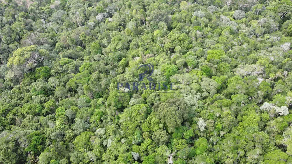 Fazenda, 2 hectares - Foto 10