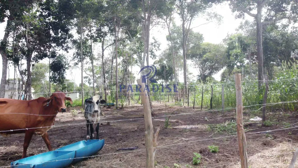 Fazenda, 2 hectares - Foto 21